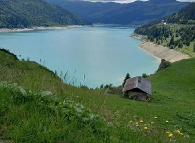 L\'Appartement Les Bossons En Lisiere De Foret Dans Le Chalet Genepi
