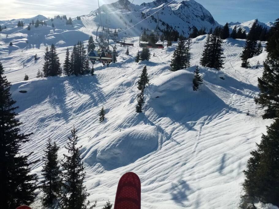 Les Bossons En Lisiere De Foret Dans Le Genepi Apartment